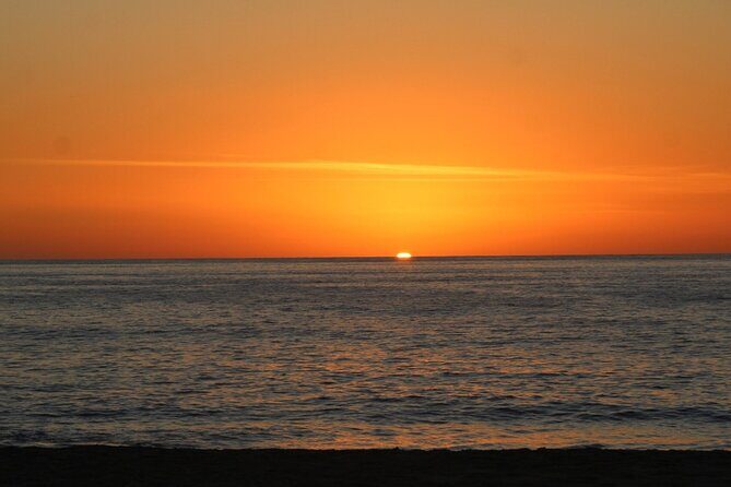 Sunset Whale Cruise in Cabo San Lucas - Who Will Enjoy This Tour?