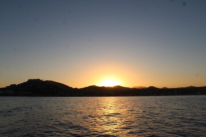 Sunset Whale Watching in San Jose del Cabo - A Closer Look at the Itinerary