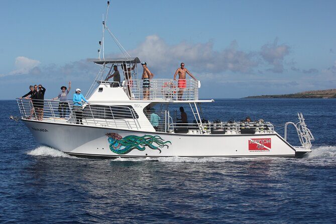 Sunset Whale Watching Shared Activity - Authentic Reviews and Insights