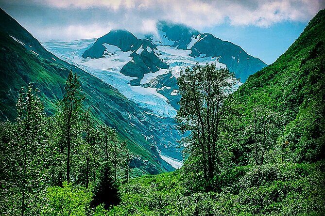 Sunset Wilderness Wildlife and Glacier Experience - What Travelers Say and Why It Matters