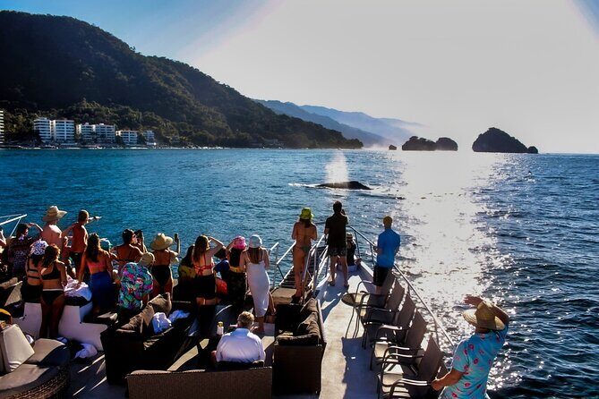 Sunsets and Whales Mega Yachts ALL INCLUSIVE: Puerto Vallarta - The Marine Life and Whale Sightings: Why They Matter