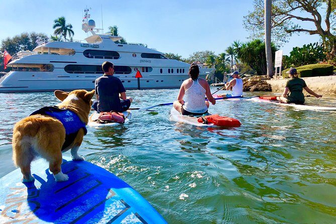 SUP PUP Paddleboard Tour - What to Expect at Each Part of the Tour