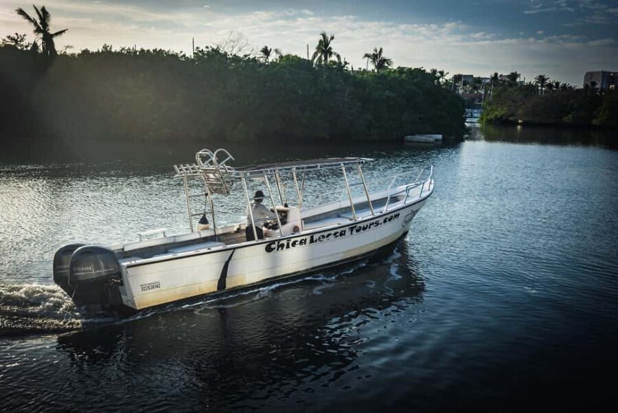 Super Panga Charter All-Inclusive - What Do Travelers Say?