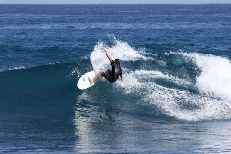 Surfing Expedition (half day) - An In-Depth Look at the Baja California Sur Surfing Expedition