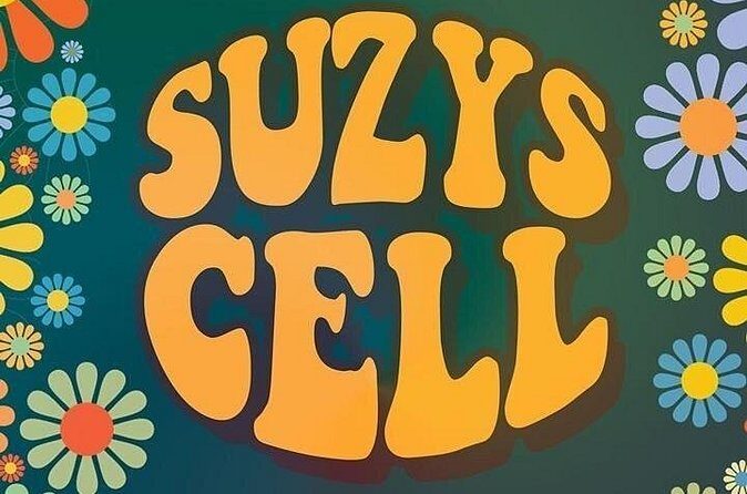 Suzys Cell Escape Game - The Experience Itself: A Closer Look