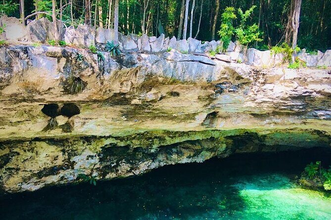 Swim in 4 different Cenotes in Casa Tortuga Park - What the Reviews Say