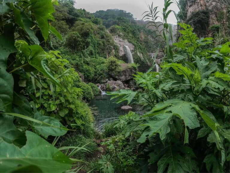 Swim in lush springs and waterfalls in Guadalajara - Why This Tour Offers Value