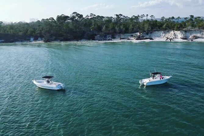 Swim with Dolphins And Snorkeling Group Tour - What’s Included and What to Bring