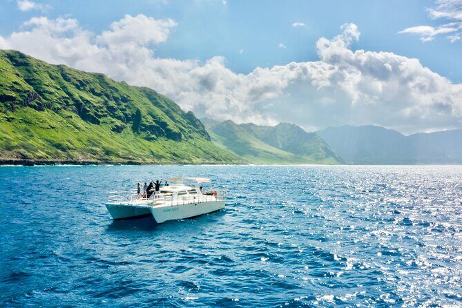 Swim with Dolphins on the West Coast of Oahu - Insights from Reviewers