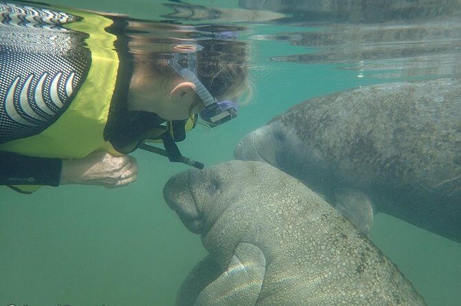 Swim with Manatees: Eco-Educational Tour in Crystal River - Final Thoughts