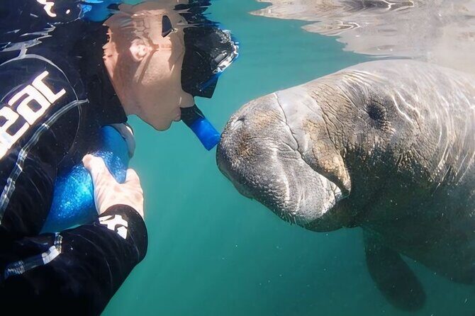 Swim With Manatees-Private Tour with In Water Guide/Photographer - Detailed Breakdown of the Itinerary