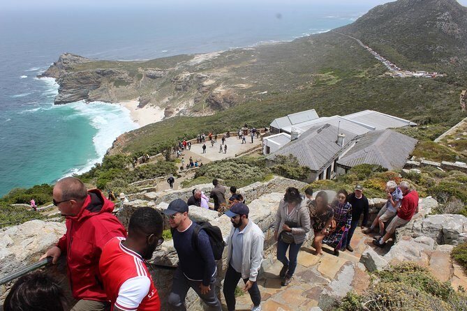 Swim with Penguins At Boulders Chapman's Peak Exc Entry Fees - The Iconic Chapman’s Peak Drive and Cape Point