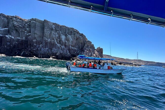 Swim with Sea Lions in La Paz - What’s Included and What You Should Bring