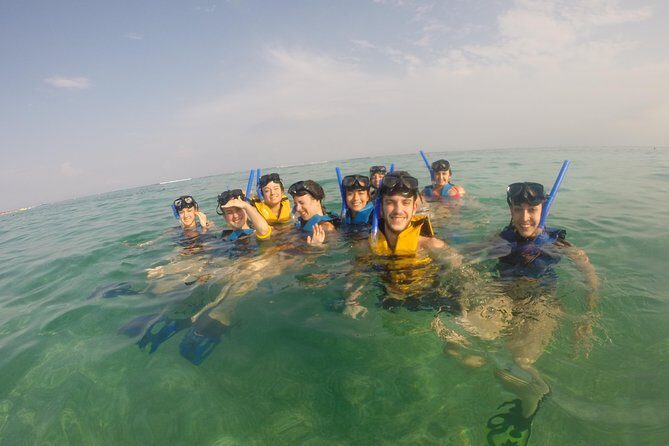 Swim with sea turtles - The Reviews: Authentic Voices