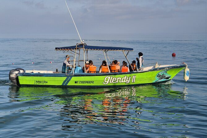 Swim with the Whale Shark on Holbox Island - The Practicalities