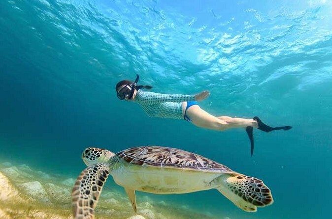 Swim with Turtles in Akumal, Cenote and Visit the Archaeological Zone - Practical Details and Tips