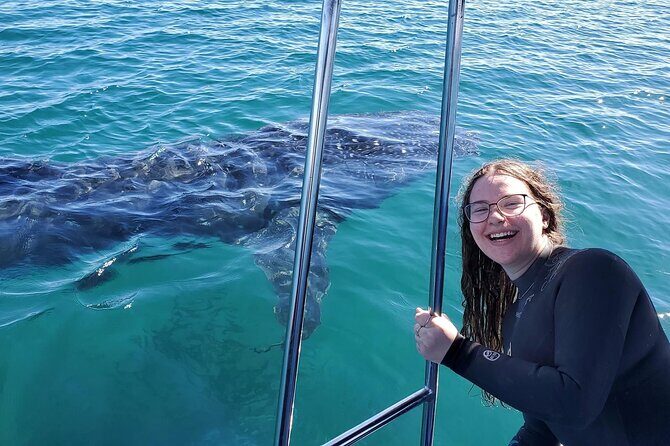 Swim with Whale Sharks #1 MUST DO IN LA PAZ - Who Will Love This Tour?