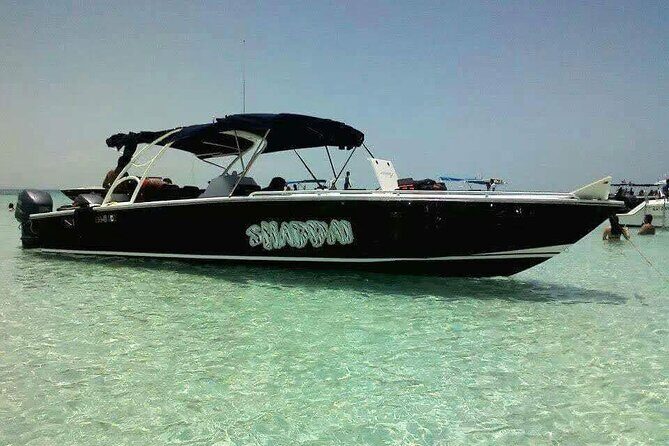 Swim with Whale Sharks Private tour from Playa del Carmen - Speedboat Ride and Wildlife Encounters