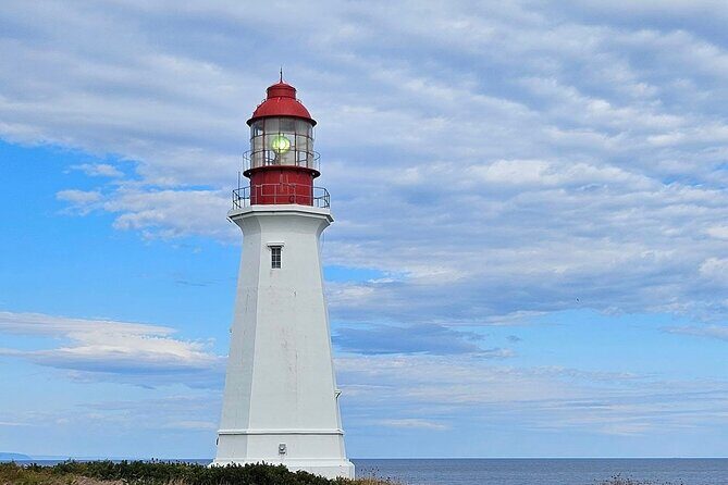 Sydney City & Coastline Tour - Booking and Flexibility