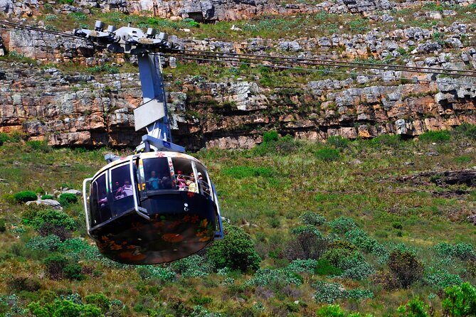Table Mountain and Cape Peninsula Tour with Penguins - Who Will Love This Tour?