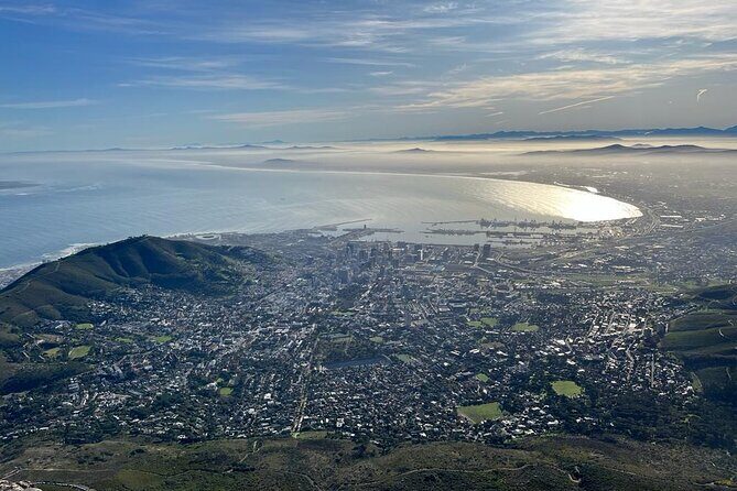 Table Mountain and Penguins Half Day Shared Group Tour - Who Would Enjoy This Tour?