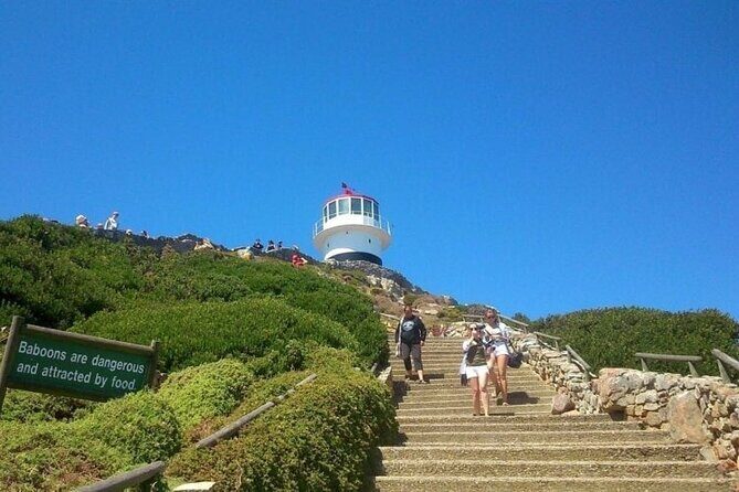 Table Mountain Boulder's Beach and Cape Point - Authentic Feedback from Travelers