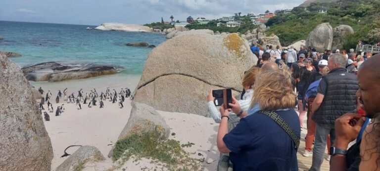 Table Mountain, Cape of Good Hope and Sightseeing Tour - Transportation and Group Dynamics