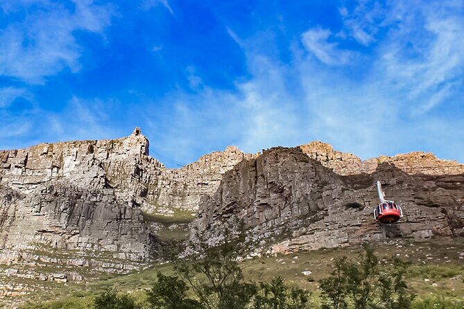 Table Mountain, Chapmans Peak Drive, Cape Point & Penguins - What Travelers Are Saying: Authentic Insights