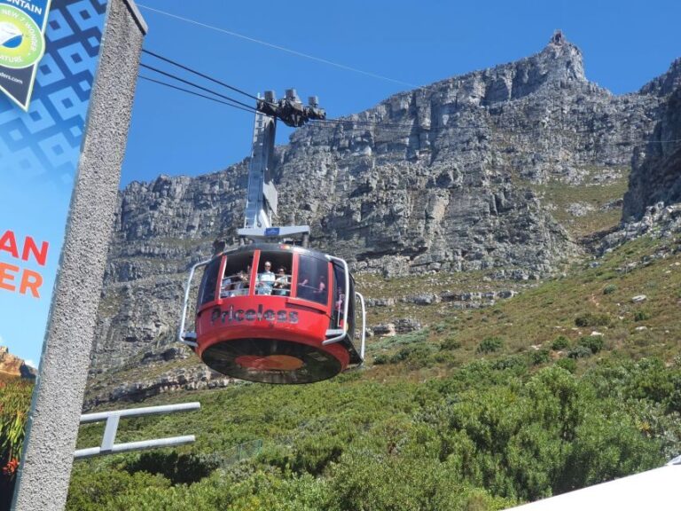 Table Mountain, Penguins & Cape of Good Hope Private Tour - Analyzing Value: Is it Worth the Price?