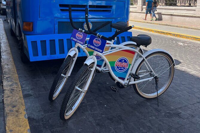 Taco Bike Tour in Mazatlan - Who Will Love This Tour?
