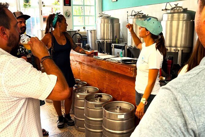 Tacos, Cerveza & Mezcal - What to Expect: A Balanced Exploration
