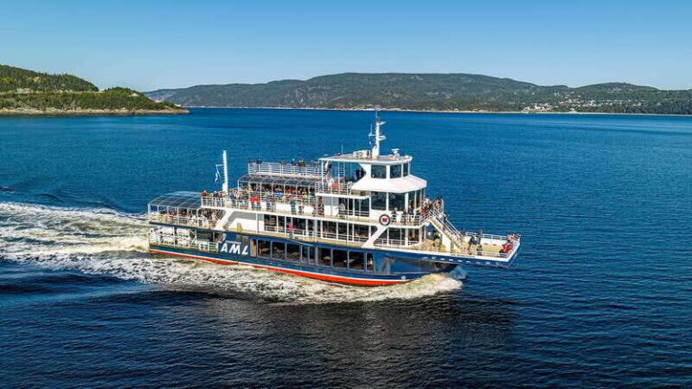 Tadoussac/Charlevoix: 3-Hour Whale Watching Boat Tour - What to Expect During the Tour