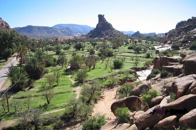 Tafraoute and Tiznit Private Tour - Transportation and Guides: Making the Day Comfortable and Informative