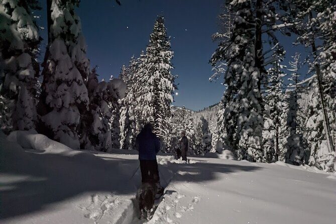 Tahoe National Forest Moonlight Snowshoe Tour Under a Starry Sky - Final Thoughts: Who Should Book This?