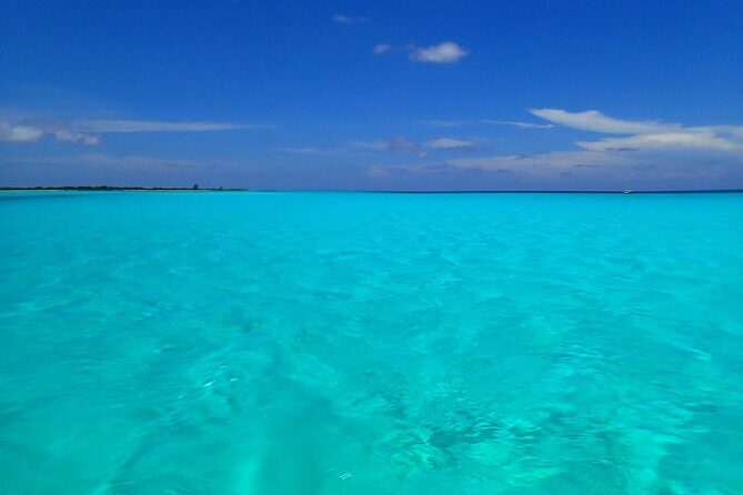 Take a Ride in your Buggie in Cozumel only from Tulum - Who Will Love This Tour?