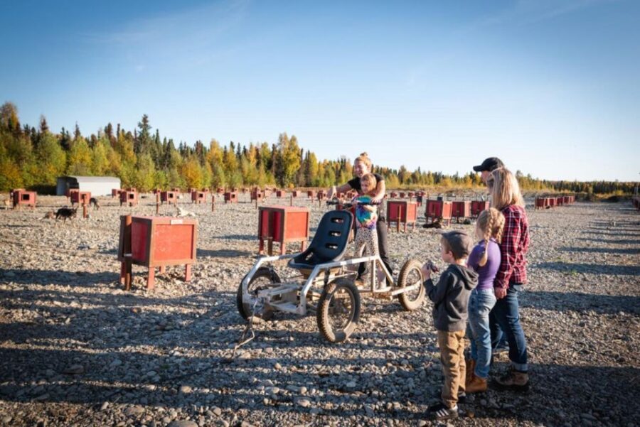 Talkeetna: Mushing Experience with Iditarod Champion Dogs