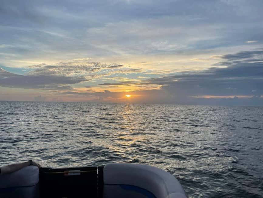 Tampa Bay: Sunset Cruise with Celebrity Homes and Wildlife