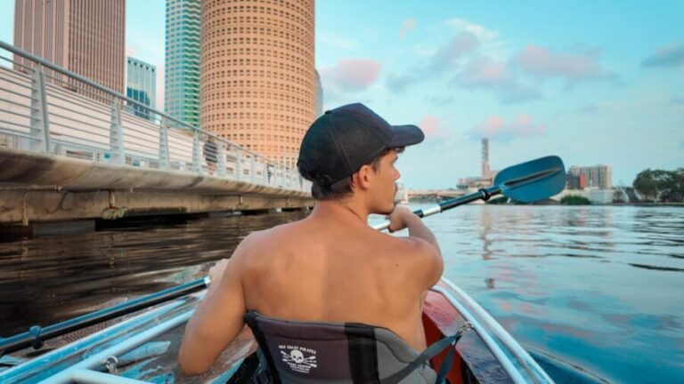 Tampa: Clear Glowing Kayak Nighttime Tour - What You Can Expect on the Tour
