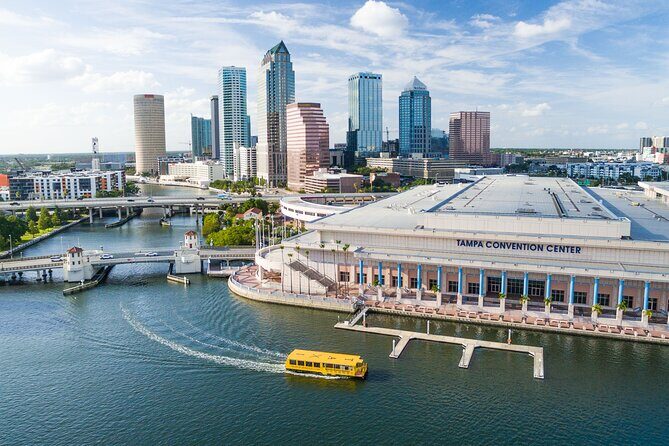 Tampa Pirate Water Taxi Tour - Who Will Love This Tour?