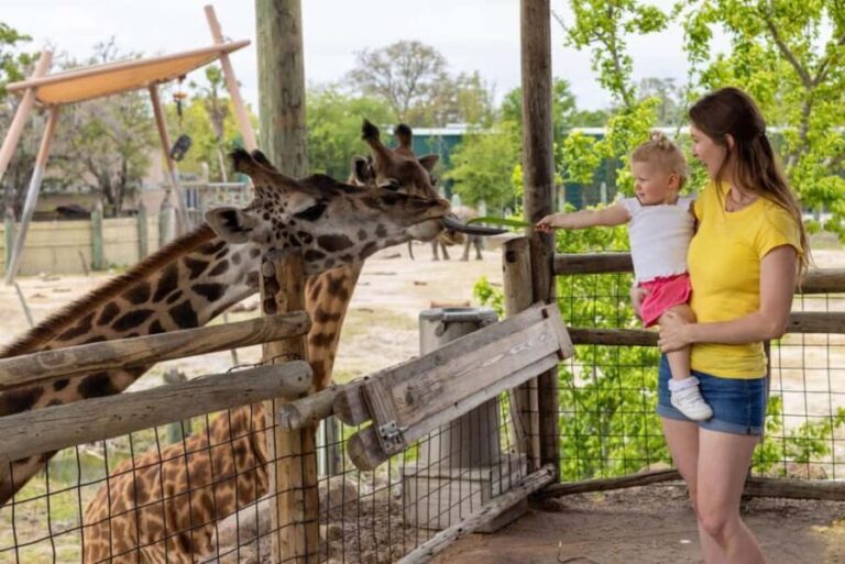 Tampa: ZooTampa at Lowry Park Ticket with After Hours Option - What Makes This Zoo Special?