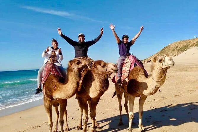 Tangier Private Customized Tours - Transportation & Comfort