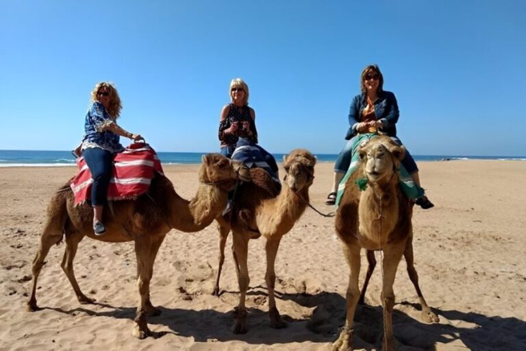 Tangier: Private Half-Day Tour and Camel Ride - Why We Think This Tour Works Well