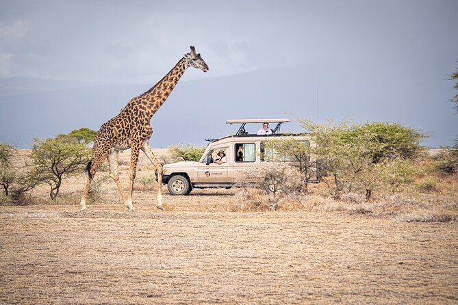 Tanzania Simba Safari - 5 Days - What Travelers Love About This Tour