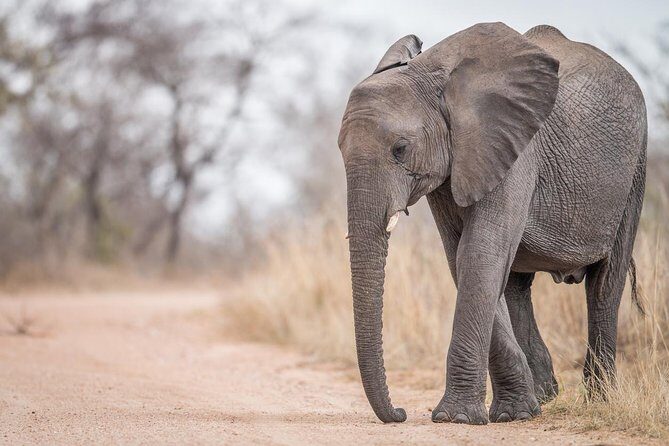 Tanzania Through The Rift Valley - 5 Days - The Logistics and What They Mean for You