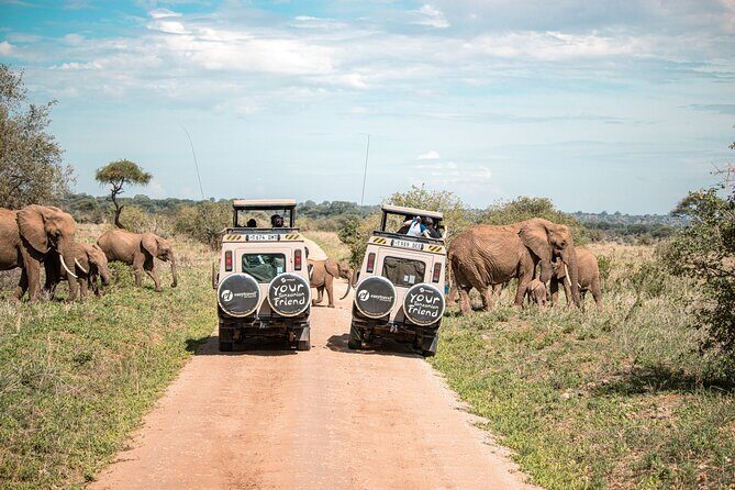 Tanzania Wildlife Encounters - 6 Days - The Value Proposition