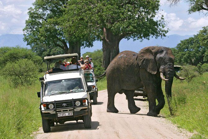 Tarangire National Park: Guided Day Tour from Arusha - The Value of a Guided Experience