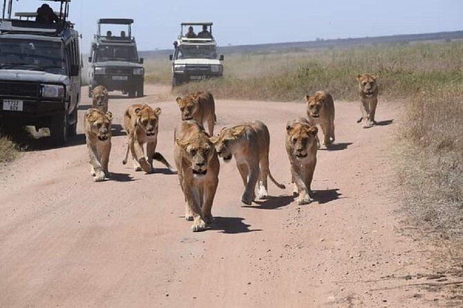 tarangire, ngorongoro & lake manyara park 3 days private tour - The Sum Up