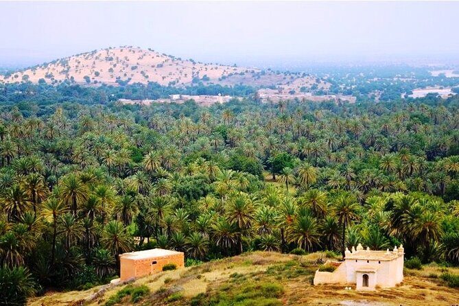 Tardoudant Tiout Oases Explore - Who Will Love This Tour?