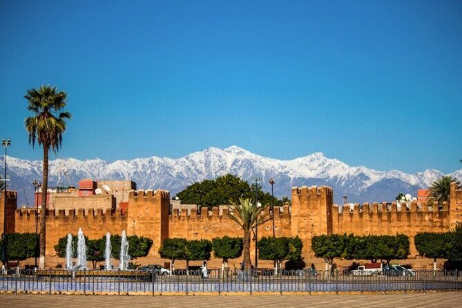 Taroudant and Tiout Oasis Guided Day Trip with Lunch - Who Should Book This Tour?