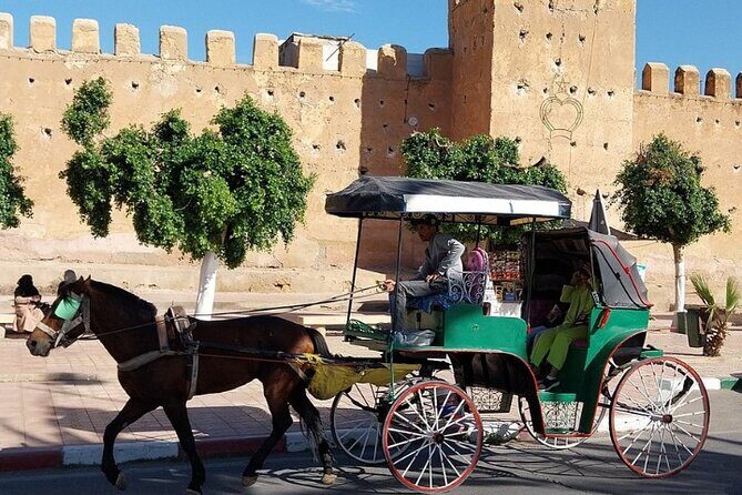 Taroudant & Tiout Day Trip Tour - Itinerary Breakdown: What to Expect